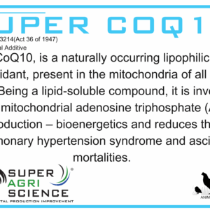 Super CoQ10